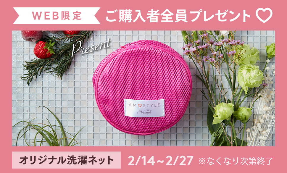 WEB限定 洗濯ネットプレゼント